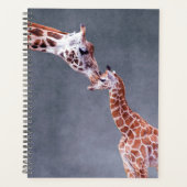 Images Getty | Mère et bébé Giraffe (Devant)