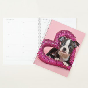 Images Getty Puppy Love