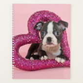 Images Getty | Puppy Love (Devant)