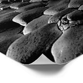 Images irlandaises pour affiche (Coin)