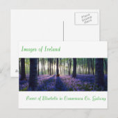 Images irlandaises pour carte postale (Devant / Derrière)