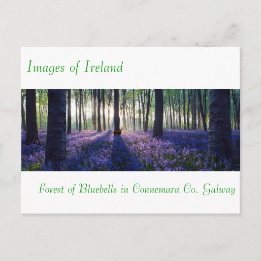 Images irlandaises pour carte postale (Devant)
