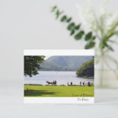 Images irlandaises pour carte postale (Debout devant)