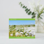 Images irlandaises pour carte postale (Debout devant)