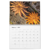 Images par Laveda Calendrier 2024-2025 (Feb 2027)