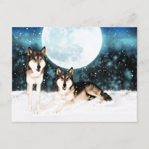imaginaire d'hiver carte postale de loup de loup d