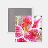 Imaginaire Lily Stargazer, Magnet (Recto/Verso)