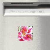 Imaginaire Lily Stargazer, Magnet (In Situ (Lave-vaisselle))