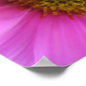 Imaginaire rose - Poster (Coin)