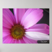 Imaginaire rose - Poster (Devant)