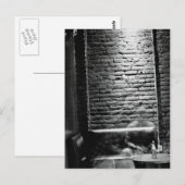 Imaginaire vrienden briefkaart (Voorkant / Achterkant)