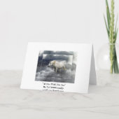 Imaginaire White Horse & Ocean Merci Cartes (Dos)