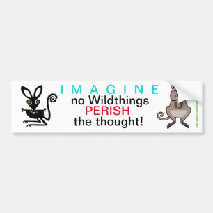 IMAGINE - Bumpersticker