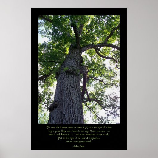 Imagine Poster (Voorkant)