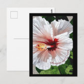 Imaginez et créez une carte postale de fleur en mo (Devant / Derrière)
