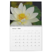 Imaginez le calendrier des nénuphars (Jan 2026)