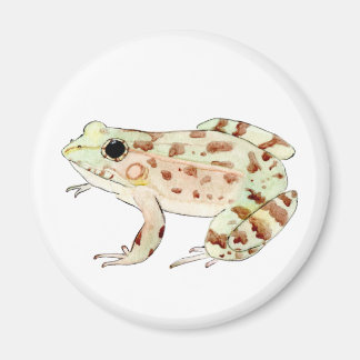Imán Rana Leopardo Magneet