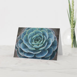 Imbricata van Echeveria notecard Kaart
