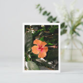 IMG_0033 BRIEFKAART (Staand voorkant)