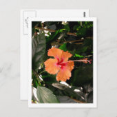 IMG_0033 BRIEFKAART (Voorkant / Achterkant)