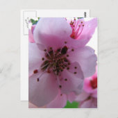 IMG_0037_3 BRIEFKAART (Voorkant / Achterkant)