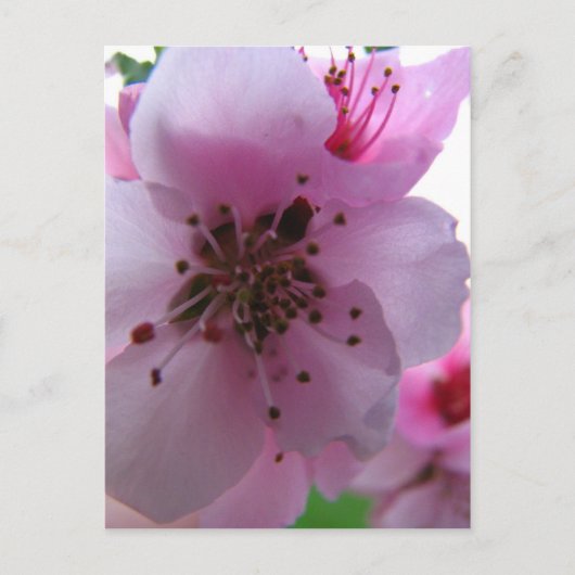 IMG_0037_3 BRIEFKAART (Voorkant)