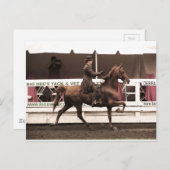 IMG_0065 kopie Briefkaart (Voorkant / Achterkant)