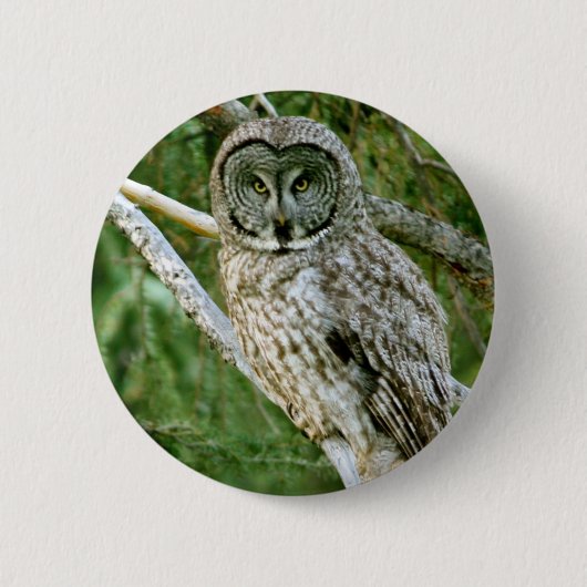 IMG_0297_2 RONDE BUTTON 5,7 CM (Voorkant)