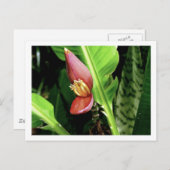 IMG_0432 BRIEFKAART (Voorkant / Achterkant)