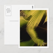 IMG_0453 BRIEFKAART (Voorkant / Achterkant)