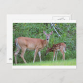 IMG_0494_1 BRIEFKAART (Voorkant / Achterkant)