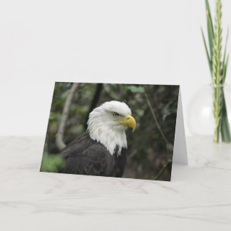 IMG_0673-eagle_5x7 Kaart