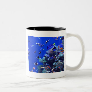 IMG_0829 TWEEKLEURIGE KOFFIEMOK