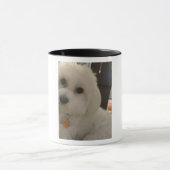 IMG_0935 MOK (Midden)