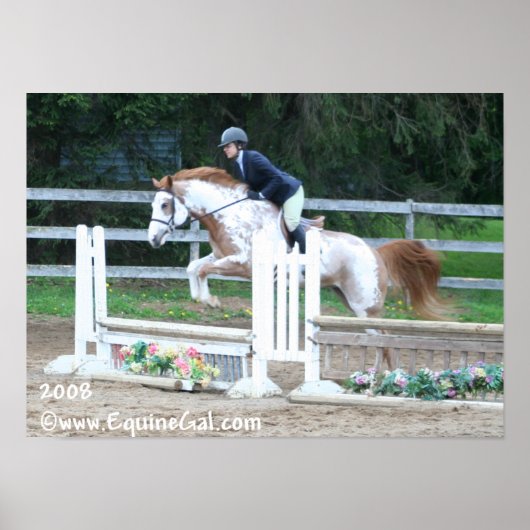 Img-1193 Poster (Voorkant)