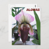 IMG_1248, ALOHA! Briefkaart (Voorkant / Achterkant)