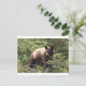 IMG_1319_1 BRIEFKAART (Staand voorkant)