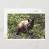 IMG_1319_1 BRIEFKAART (Voorkant / Achterkant)