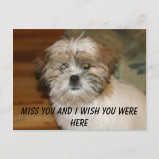 IMG_1531, Miss you and I wish you was here Briefkaart