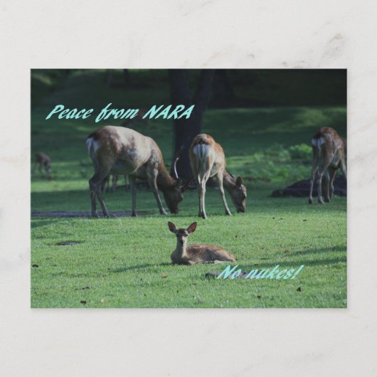 IMG_1652 NARA BRIEFKAART (Voorkant)