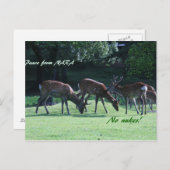 IMG_1699 nara Briefkaart (Voorkant / Achterkant)