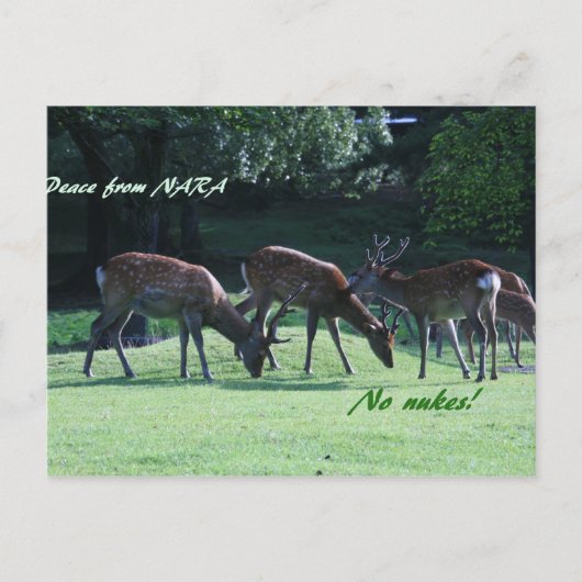 IMG_1699 nara Briefkaart (Voorkant)