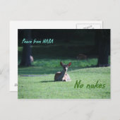 IMG_1713 nara Briefkaart (Voorkant / Achterkant)