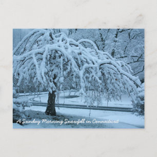 IMG_2425_2, een zondagochtend sneeuwval in Connec. Briefkaart