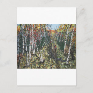 IMG_2974.JPGWhite Birch Trail Ride Briefkaart