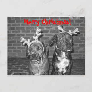 IMG_3721_2, Vrolijk kerstfeest! Feestdagenkaart