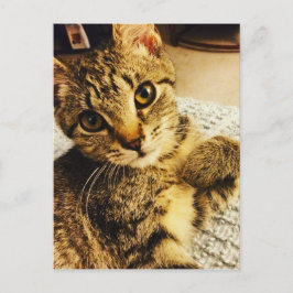 IMG_3770.JPG BRIEFKAART