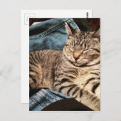 IMG_3960.JPG BRIEFKAART (Voorkant / Achterkant)