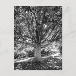 IMG_5219.JPG BRIEFKAART