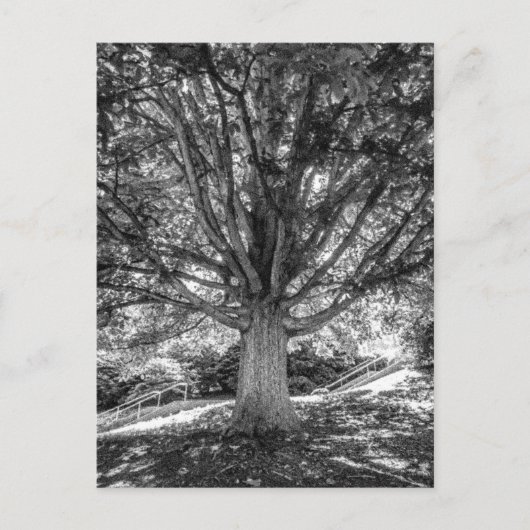 IMG_5219.JPG BRIEFKAART (Voorkant)